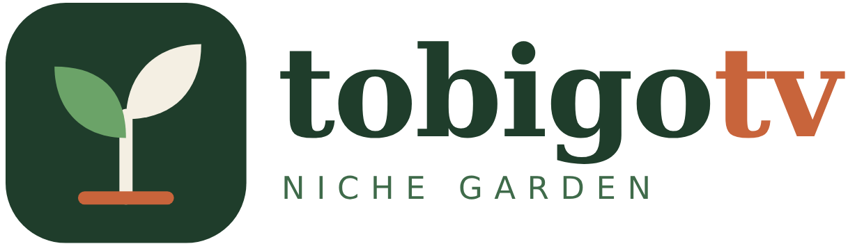Tobigotv